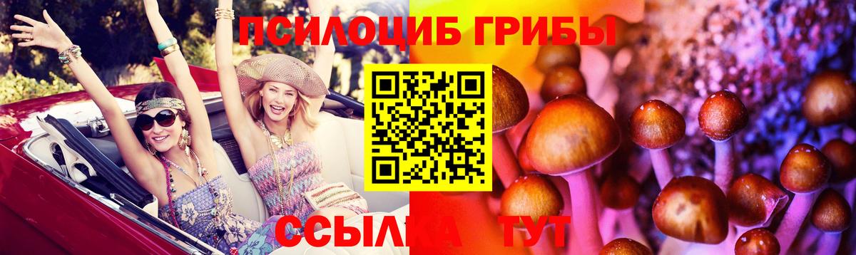 Галлюциногенные грибы прущие грибы Кулебаки